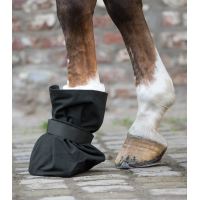 Protection de pansement Waldhausen sabot Schwarz