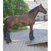 Rampe Waldhausen camion Schwarz