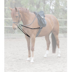 Rênes viennoises Waldhausen X-Line Schwarz