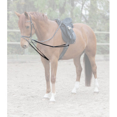 Rênes viennoises Waldhausen X-Line Schwarz