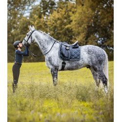 Dressursattel Waldhausen Premium Leder Schwarz