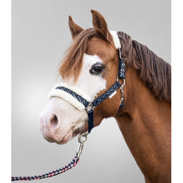 Set Halfter Waldhausen Lucky Nächtliches Blau / Lucky