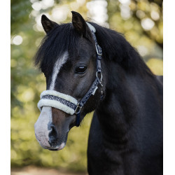 Set Halfter Waldhausen Lucky Nächtliches Blau / Lucky