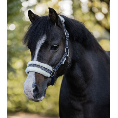 Set Halfter Waldhausen Lucky Nächtliches Blau / Lucky