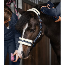 Set Halfter Waldhausen Lucky Nächtliches Blau / Lucky