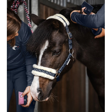 Set Halfter Waldhausen Lucky Nächtliches Blau / Lucky