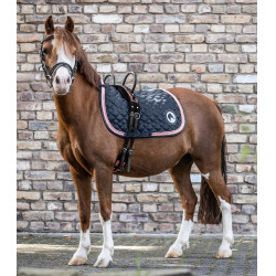 Longiergurt Waldhausen mit 2 Griffen Schwarz / Rotrosa