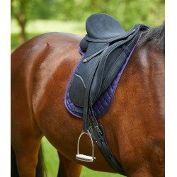 Satteldecke Waldhausen Star Blau