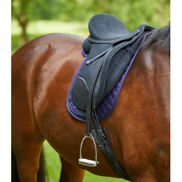 Satteldecke Waldhausen Star Blau