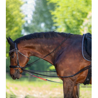 Rênes triangulaire W-train Waldhausen Schwarz