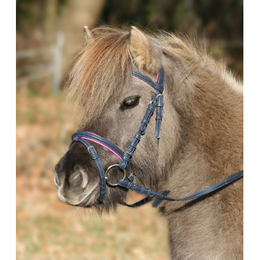 Braut Stern Einhorn 2