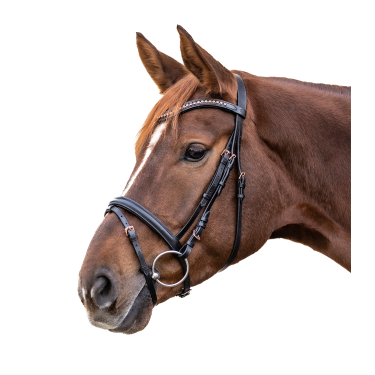 Bridon Rosemary Star Schwarz Bridon Rosemary Star Schwarz