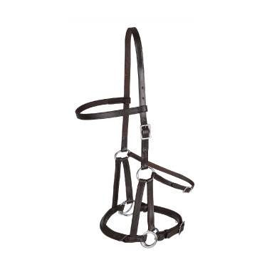 Zäumung ohne Gebiss Linda Tellington-Jones Braun