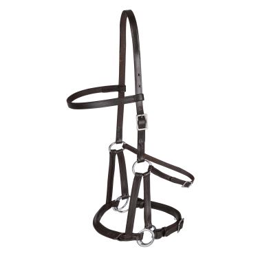 Zäumung ohne Gebiss Linda Tellington-Jones Braun