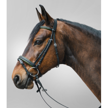 Bridon Star Diamond Grün Gr&amp;amp;amp;amp;amp;uuml;n