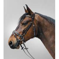 Bridon Star Diamond Braun / Gold