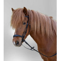 Bridon Star Hannover Schwarz Bridon Star Hannover Schwarz