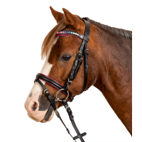 Bridon Star Pinky Schwarz