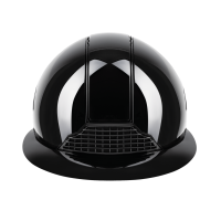 Swing Reithelm H24 Lady glänzend Glänzend Schwarz