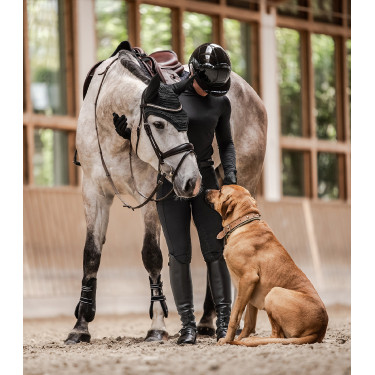 Swing Reithelm H24 Lady glänzend Glänzend Schwarz Swing Reithelm H24 Lady glänzend Glänzend Schwarz