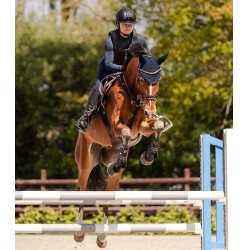 Swing-Reithelm H24 Lady Shine Schwarz glänzend, matt