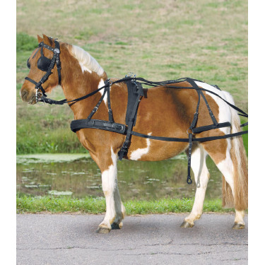 Einfaches synthetisches Geschirr Star Pony Shetland