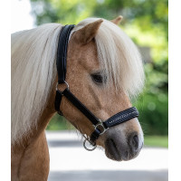 Lederhalfter Star Diamond Schwarz / Silber Lederhalfter Star Diamond Schwarz / Silber