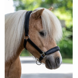Lederhalfter Star Diamond Schwarz / Silber Lederhalfter Star Diamond Schwarz / Silber