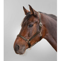 Lederhalfter Star Diamond Braun / Gold Lederhalfter Star Diamond Braun / Gold