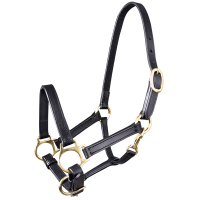 Star Fohlen Lederhalfter Schwarz