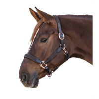 Halfter Star Mix Braun / roségold