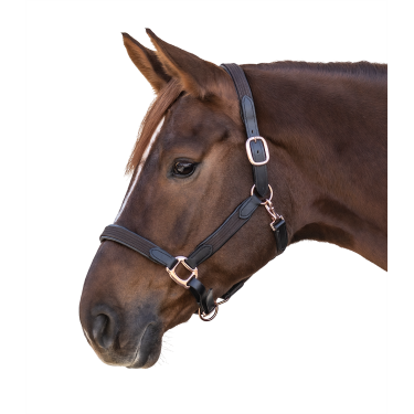 Halfter Star Mix Braun / roségold