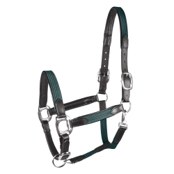 Halfter Star Mix Tannengrün / Silber Gr&uuml;n