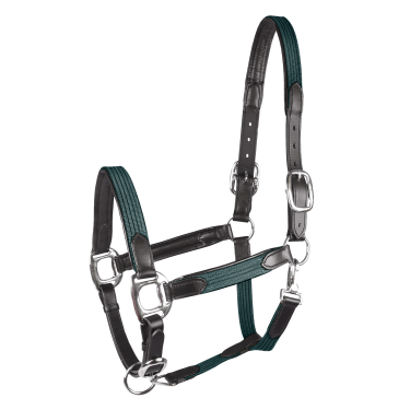 Halfter Star Mix Tannengrün / Silber Gr&uuml;n