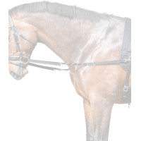 Star Nylon-Ausbinder Schwarz