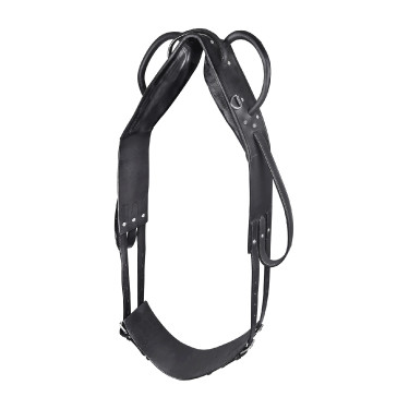 Voltigier- und Longiergurt Star Schwarz Voltigier- und Longiergurt Star Schwarz