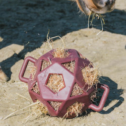 Spielball / Heuball Kentucky Bordeaux