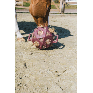 Spielball / Heuball Kentucky Bordeaux