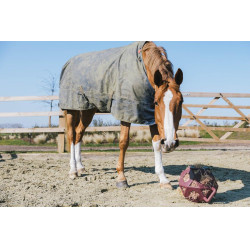 Spielball / Heuball Kentucky Bordeaux