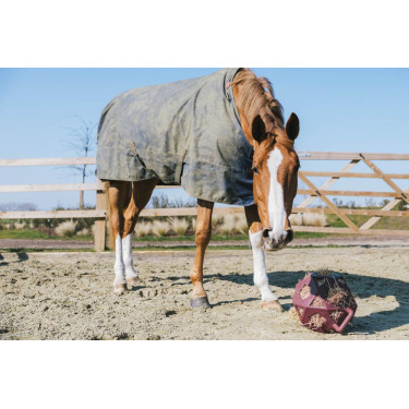 Spielball / Heuball Kentucky Bordeaux