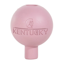 Schutzballenbefestigung Kentucky Altrosa