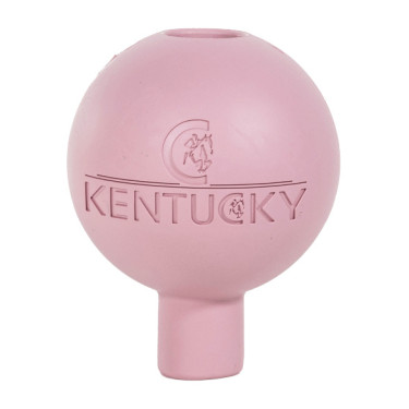 Schutzballenbefestigung Kentucky Altrosa
