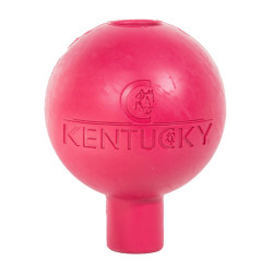 Schutzballenbefestigung Kentucky Blassrosa