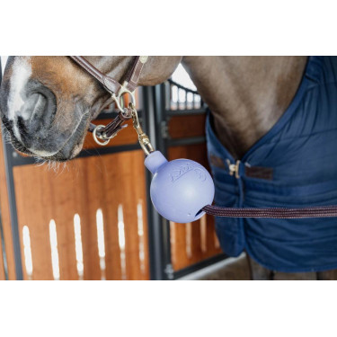 Schutzballenbefestigung Kentucky Lavendel Lila