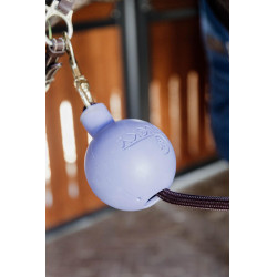 Schutzballenbefestigung Kentucky Lavendel Lila