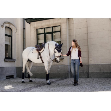 Satteldecke Kentucky Softshell Jumping