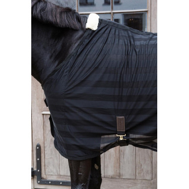 Leichte gestreifte Fliegendecke Kentucky Leichte gestreifte Fliegendecke Kentucky