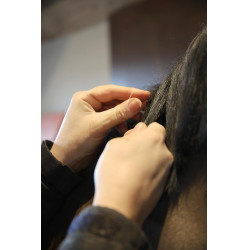 Elastiques Grooming Deluxe von Kentucky Natürlich Braun