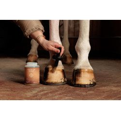 Fußöl Shine Grooming Deluxe von Kentucky Natürlich Braun Fußöl Shine Grooming Deluxe von Kentucky Natürlich Braun