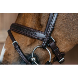 Geflochtenes Kombiniertes Reithalfter mit Pull Pack Dy'on New English Collection Braun Geflochtenes Kombiniertes Reithalfter mit Pull Pack Dy'on New English Collection Braun
